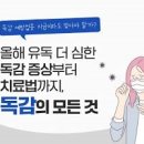 독감 예방접종 생후 6개월13세 이하 접종 시작 이미지