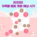 씨유강릉남산한라 | 2025년 지역별 벚꽃 개화시기 및 만개 예상일, 지역별 벚꽃 명소 추천!