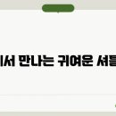 브리더클럽 이미지