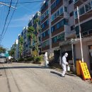 자연과방제 | 아파트 코로나방역(살균소독) + 해충소독 후기