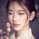 배*수 이미지