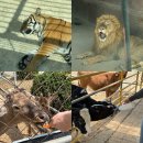 운악천 | 강릉 가볼만한곳 쌍둥이동물농장ㅣ체험형 동물원