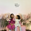 해피동물병원 | 천안 실내동물원 동물 돌아다니는 해피애니멀 7살 3살 아기랑 키즈카페 후기