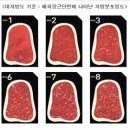 마블링 푸드 이미지