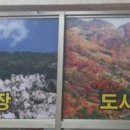엄마손정육 - 강서구 방화동로16길 22 | 엄마손정육