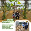 용인 남사한숲시티 5단지 519동 뒤 어린이놀이터 | 용인 남사 무럭무럭농장 동물 먹이주기 체험 깨끗함의 끝판왕