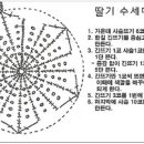 딸기수세미 도안 이미지