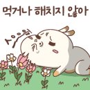 명돌