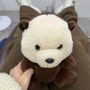 장산약국 | [부산/해운대]왕쫄보 성인 여성의 사랑니 4개 한 번에 발치 후기 #1 : 장산 사랑니 발치 전문 치과