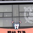 마이플란트치과의원 이미지