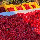 태양하우스 이미지