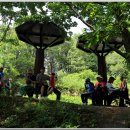 백양산 바람고개 이미지