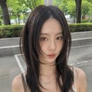 어헤브헤어