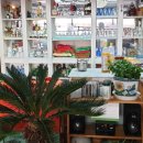 서면중앙치과의원 이미지