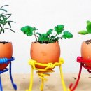 리빙&홈 이미지