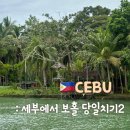 생수의강 | 보홀 육상 투어 당일 로복강 선상뷔페 후기