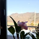 자연등잔길 이미지