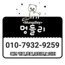 멍들리 네이버블로그