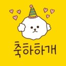축하하개 이미지