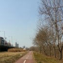 발산교 Daum카페