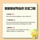 쓰다: 캘리그라피 심화 과정 네이버블로그