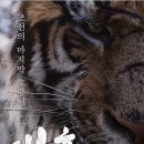대호 이미지