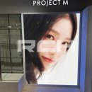 프로젝트엠신세계 이미지