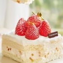 투썸플레이스 이미지