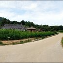 전망대길 10 이미지