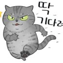 신가부영6차 이미지