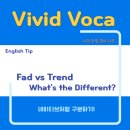 생활 단어, 유행 단어로 영어 배우기 | 영어로 &#39;유행&#39; 표현하기 – Fad와 Trend 뉘앙스 차이, 예문으로 쉽게 배우기