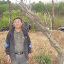 이병렬 농장 이미지