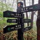 장안3교 | [순천] "조계산 보리밥집 시작 최단 코스, 주차부터 원점회귀까지 상세한 설명"