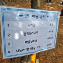 정관무지개유치원 이미지