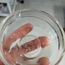 하이토탈뷰티 이미지