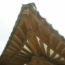 도심코스 이미지