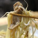 뽕제이짬뽕 이미지