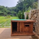 피스켄넬 이미지