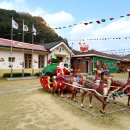 안동봉화축산업협동조합 봉화한약우프라자 이미지