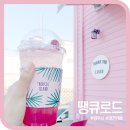 땡큐애견 이미지