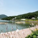 다대어촌체험마을 이미지