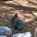 경북에너지 | 영덕 신재생에너지 전시관 후기 ㅣ 아이와 함께 가볼 만한 영덕 여행 코스