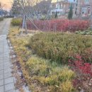 라메르펜션 | 부산송정펜션 &#39;부산라메르펜션&#39; 기장해안도로 인접 펜션후기