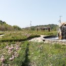 풍암호수공원 이미지