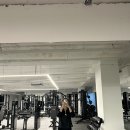 피지컬프로짐 이미지