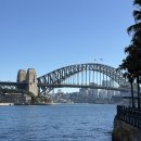 머들하우스 | 6월의 호주 시드니 Australia in June, Fourth, last story