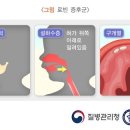 로빈 이미지