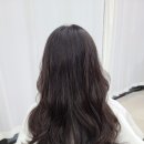 헤담[헤어를 담다]