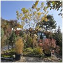 꿈길속에펜션 | 강화도펜션 환화원에서 즐기는 자연 속 힐링 타임