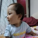 소망아기어린이집 이미지